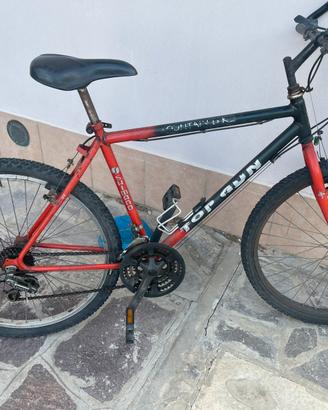 Mountain bike uomo