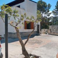 Villa singola - GARGANO MARE