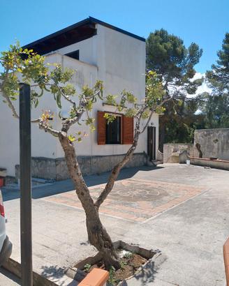 Villa singola - GARGANO MARE