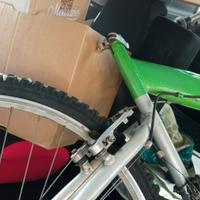 Pininfarina verde Mountain bike vintage ricercata