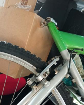 Pininfarina verde Mountain bike vintage ricercata