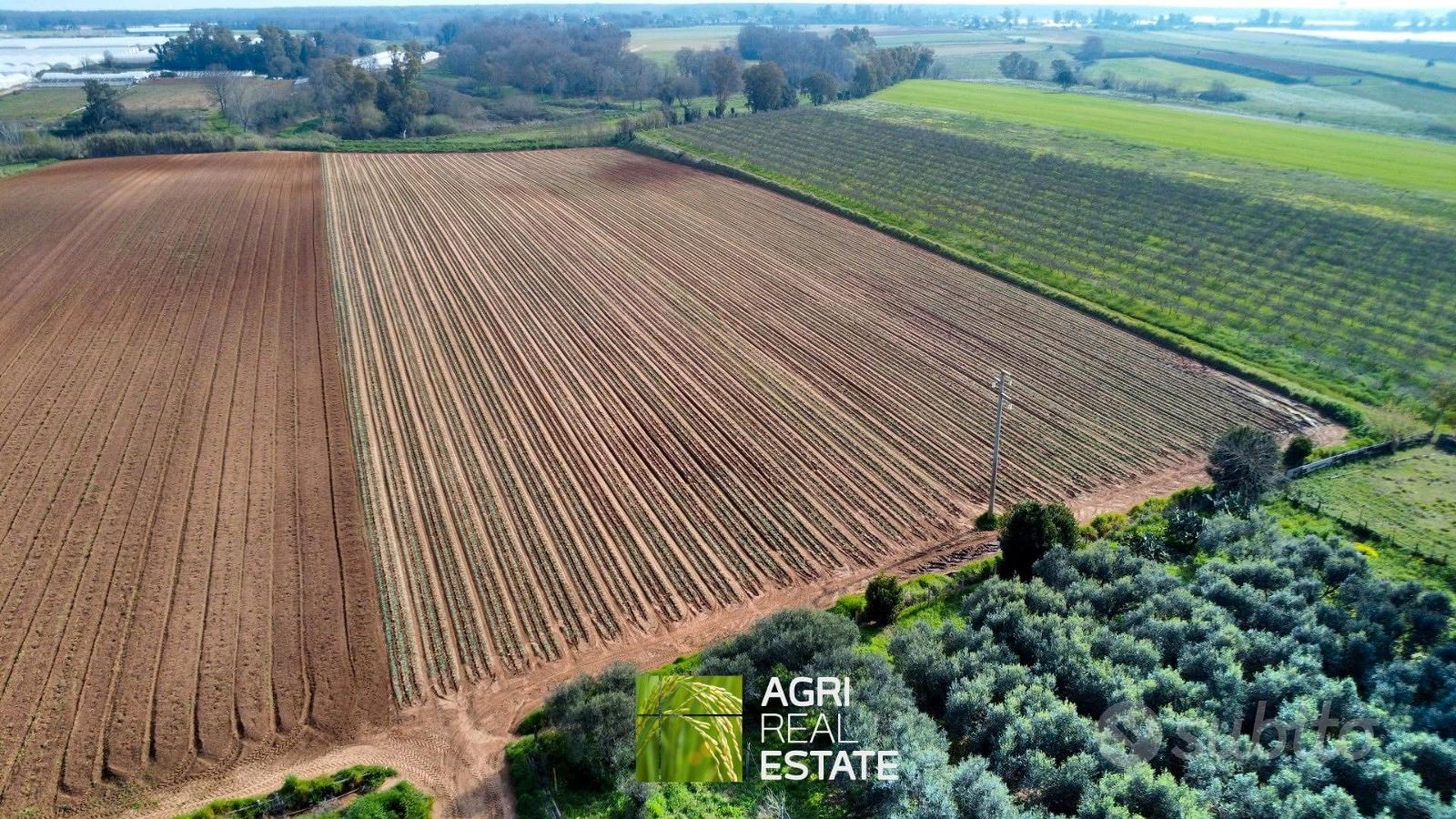 Terreno agricolo di 2,3 HA ideale per serre - Vista 3
