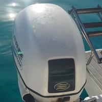 Fuoribordo Evinrude 115 CV + carrello