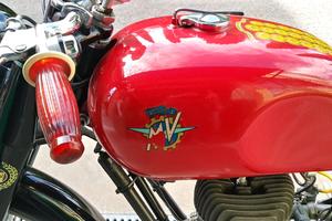 MV Agusta Altro modello - 1951