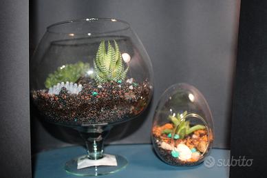 terrari per piante 