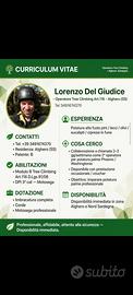 Manovale / Potatore pulizia/abbattimenti alberi