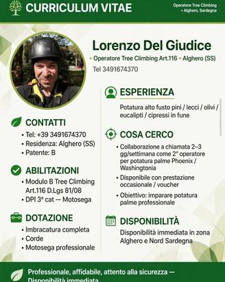 Manovale / Potatore pulizia/abbattimenti alberi