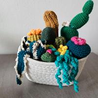 cesto con piantine grasse realizzate all'uncinetto