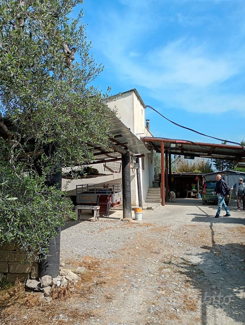 Terreno agricolo con uliveto di I classe - Vista 5