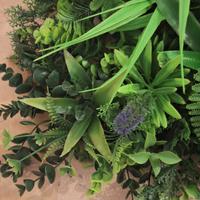 TAPPETO Jungle - siepe artificale varie piante