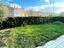 Immagine 25