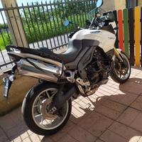 Triumph Tiger - 2008