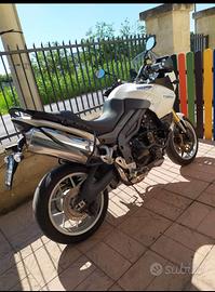 Triumph Tiger - 2008