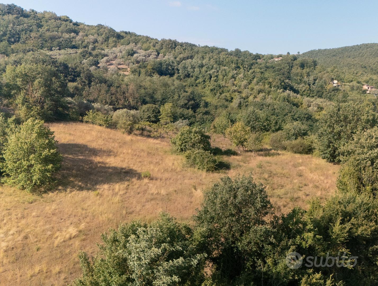 Ruviano , terreno agricolo di 5mila m con rustico - Altro