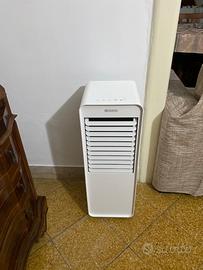 Raffrescatore Seleco