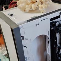 Corallo Marino bianco