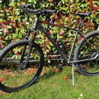 mtb 29 bottecchia
