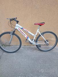 Bicicletta Mountain bike 