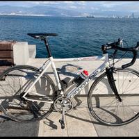 Cannondale Synapse.