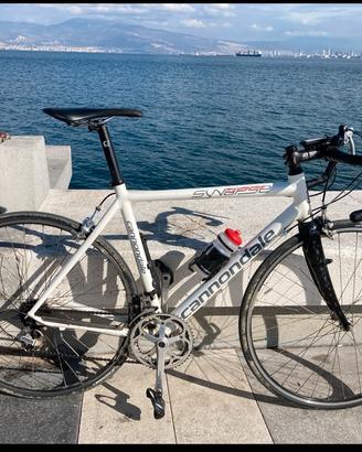 Cannondale Synapse.