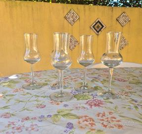 calici grappa