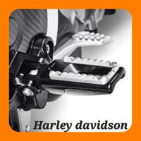 PEDANE RIZOMA HARLEY DAVIDSON