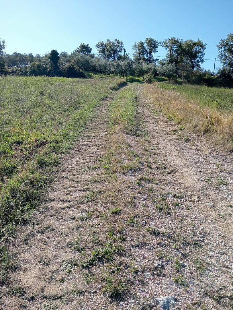 Terreno agricolo - Vista 3