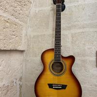 Chitarra acustica Washburn - Barcus Berry