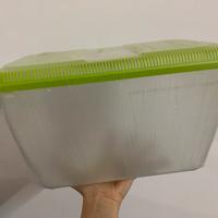 Acquario in plastica con coperchio ventilato