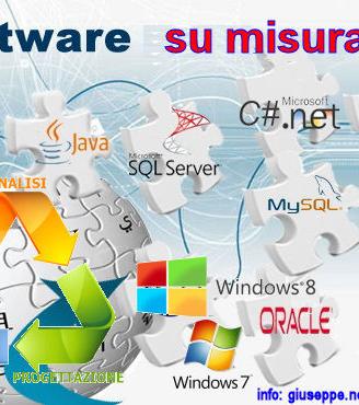 Programmatore informatico software gestionale