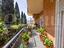 Immagine 22