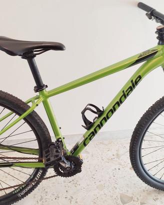 MTB Cannondale ruote 29 Freni idraulici