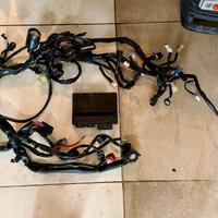 Impianto e centralina YEC Yamaha R1 2015-2025