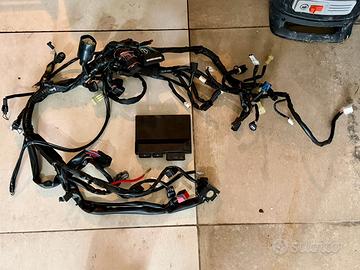 Impianto e centralina YEC Yamaha R1 2015-2025