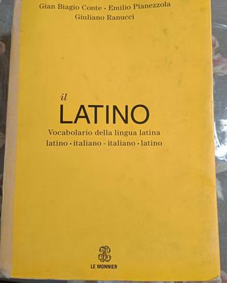 dizionario 