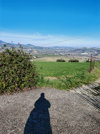 Terreno edificabile e agricolo