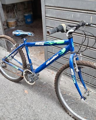 bici usata