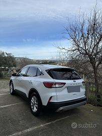 Ford Kuga 1.5 Ecoblue 120cv 2WD Titanium