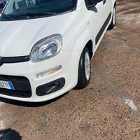 Fiat panda 1.2 benz.69 cv gpl 2019