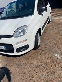 Fiat panda 1.2 benz.69 cv gpl 2019