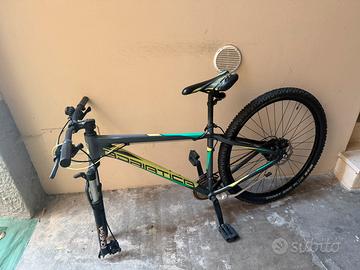 Bicicletta da montagna Adriatica
