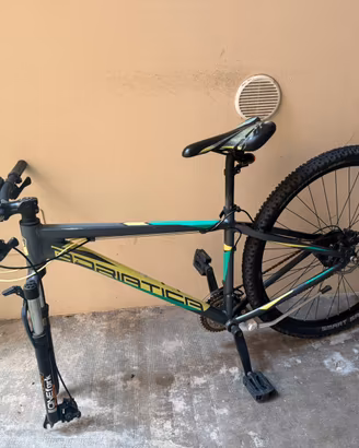 Bicicletta da montagna Adriatica