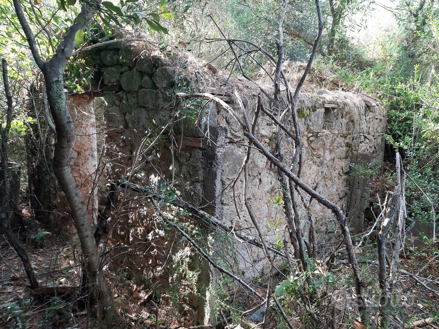Terreno panoramico collinare con piccolo annesso - Vista 4