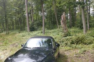 BMW Z3 Roadster Cabrio
