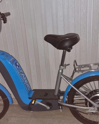 Bicicletta a pedalata assistita