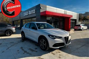 Alfa Romeo Stelvio 2.2 Turbodiesel 160 CV AT8 RWD 