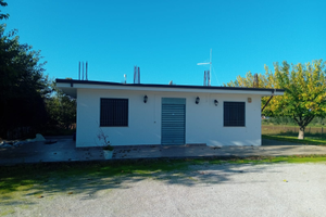 Stabile con giardino