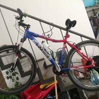 Mountain Bike 24 Whistle