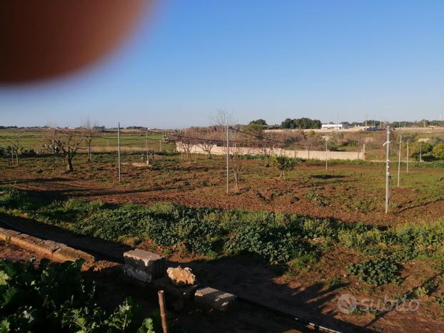 Vendita terreno agricolo