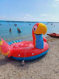 gommone  a forma di pappagallo 